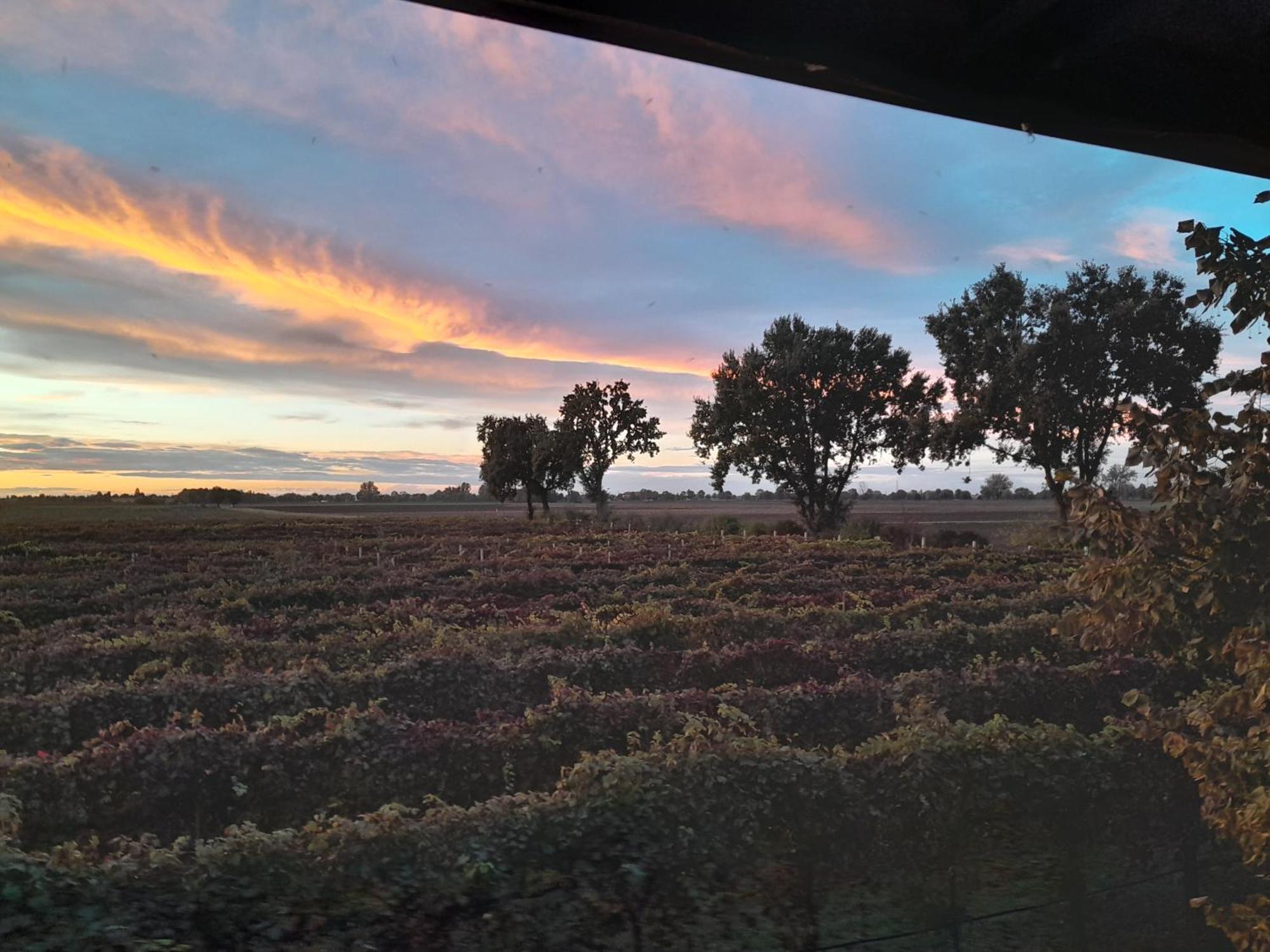 Nonantola Agriturismo Casa Carpanelli מראה חיצוני תמונה