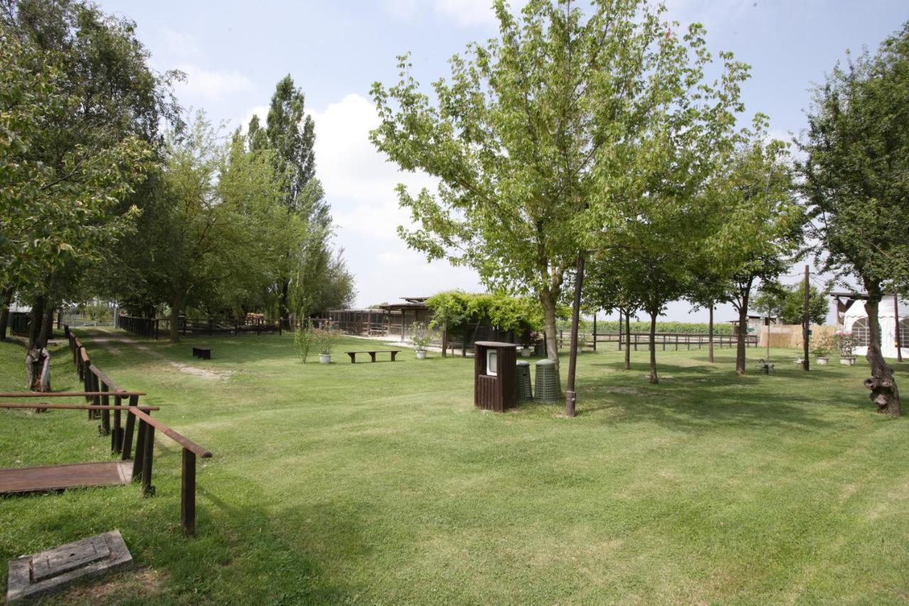 Nonantola Agriturismo Casa Carpanelli מראה חיצוני תמונה