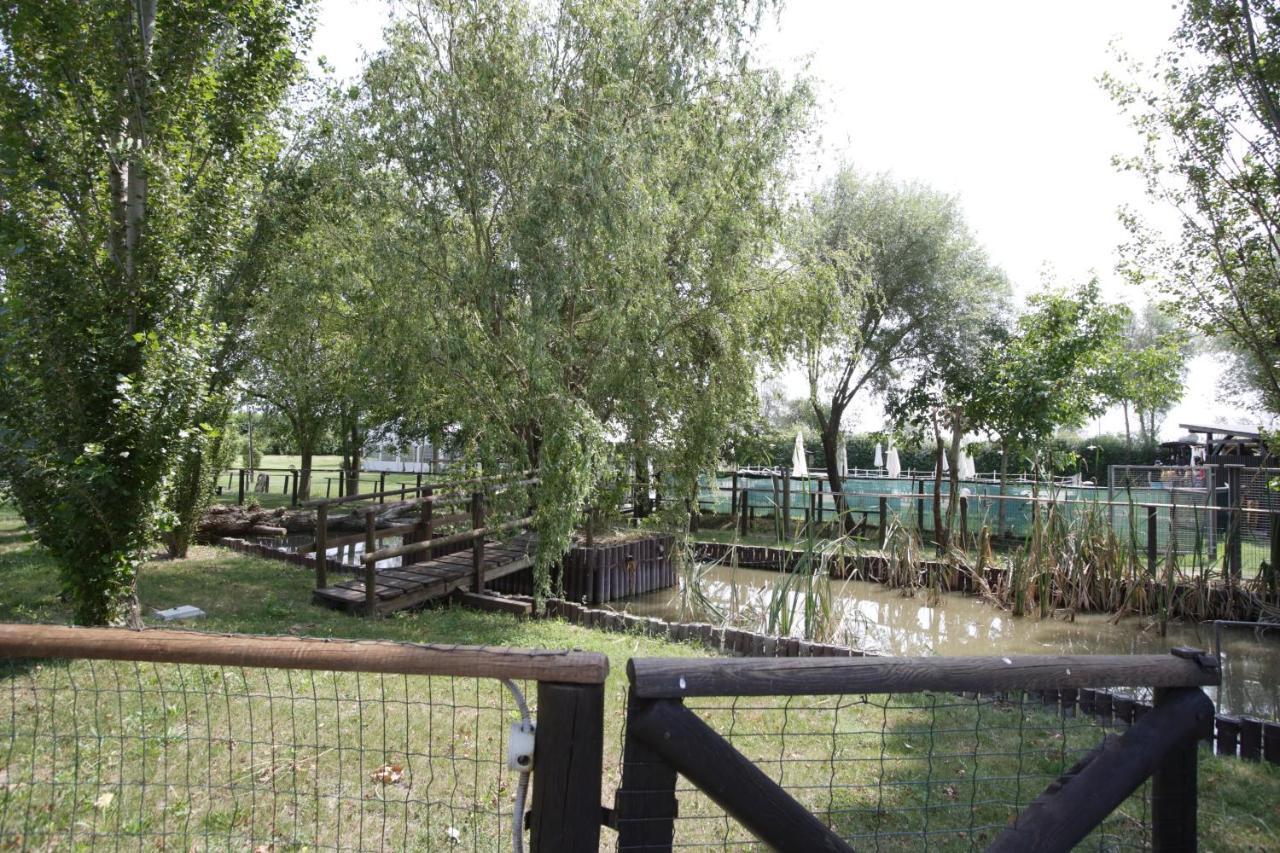 Nonantola Agriturismo Casa Carpanelli מראה חיצוני תמונה